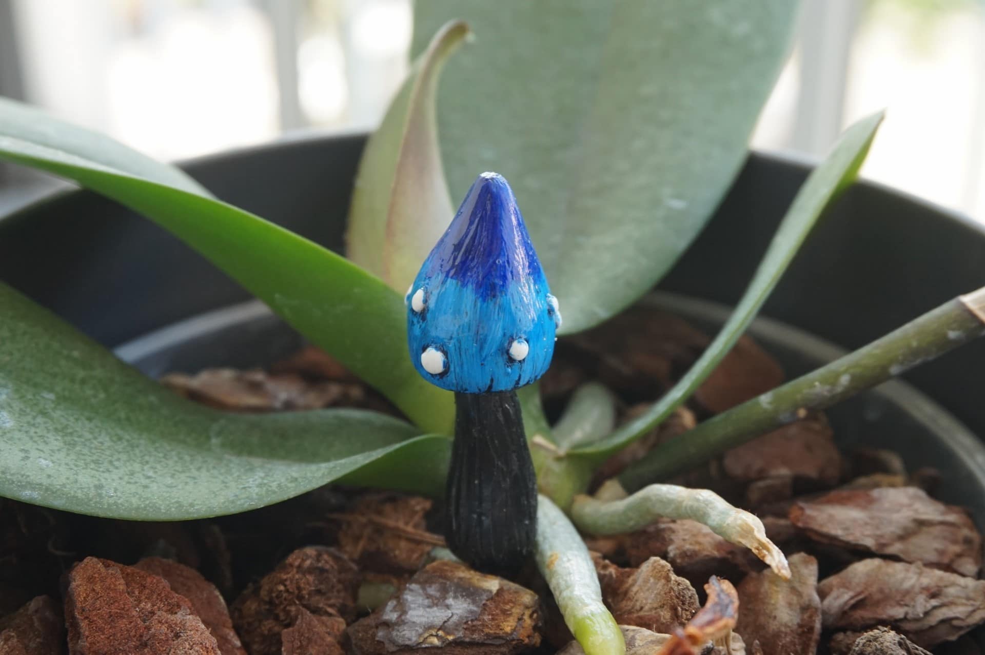 Champignon bleu - déco de jardin féérique | BleuetClaymentine Champignon bleu - déco de jardin féérique | BleuetClaymentine